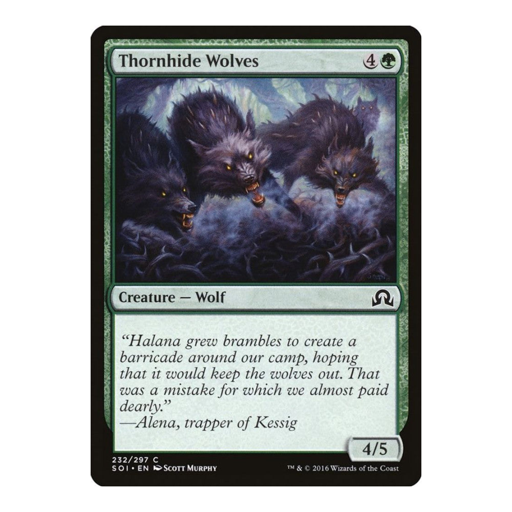 Thornhide Wolves - Shadows over Innistrad () - Near Mint -
