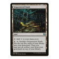 2016 Magic: The Gathering: Kaladesh (KLD) - Sequestered Stash (#248, Uncommon) (, Near Mint)