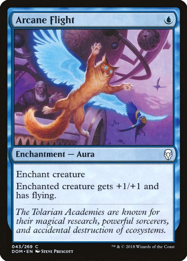 2018 Magic: The Gathering: Dominaria (DOM) - Arcane Flight (#43, Common) (, Near Mint)