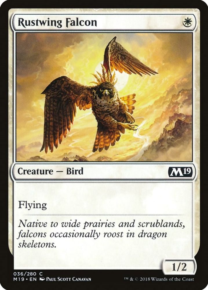 2018 Magic: The Gathering: Core Set 2019 (M19) - Rustwing Falcon (#36, Common) (, Near Mint)