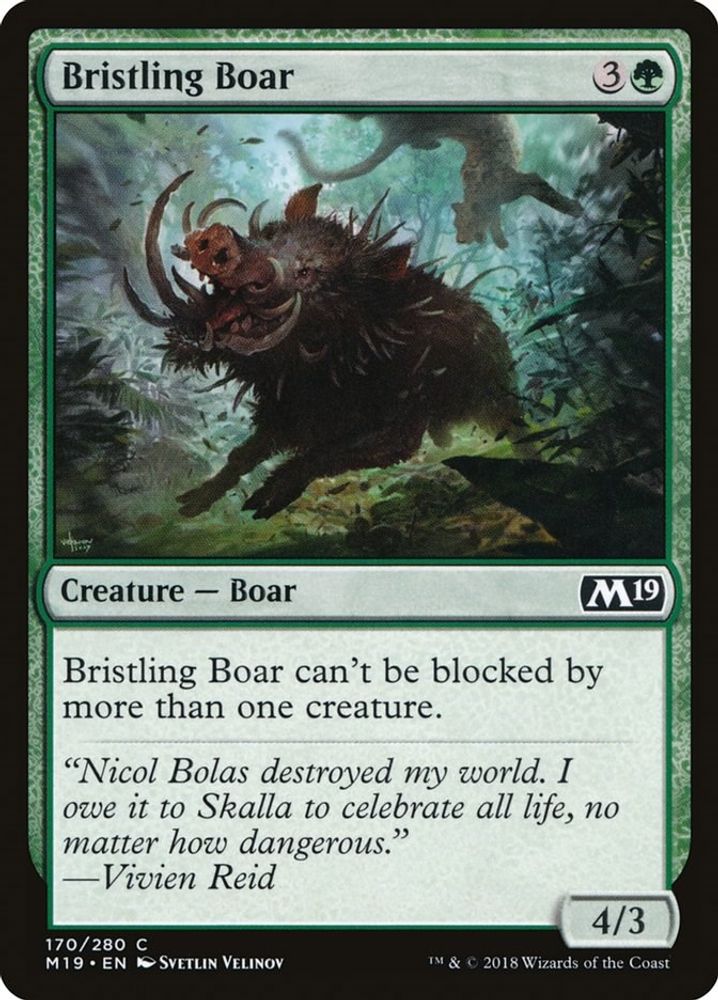 2018 Magic: The Gathering: Core Set 2019 (M19) - Bristling Boar (#170, Common) (, Near Mint)