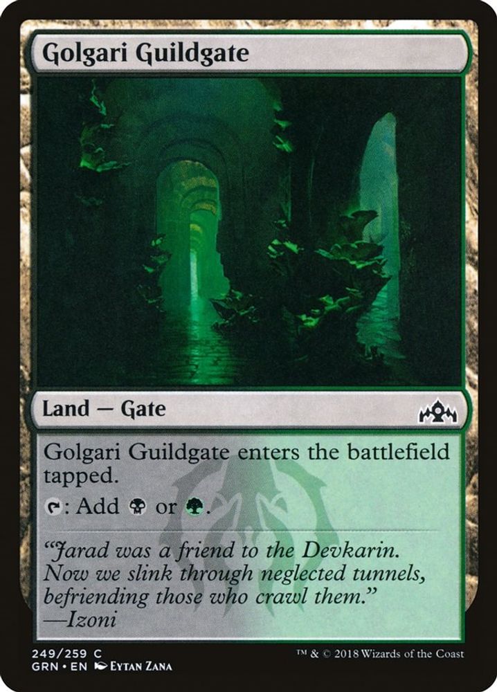 2018 Magic: The Gathering: Guilds of Ravnica (GRN) - Golgari Guildgate 249 (#249, Common) (, Near Mint)