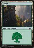 2018 Magic: The Gathering: Guilds of Ravnica (GRN) - Forest (#264, Land) (, Near Mint)