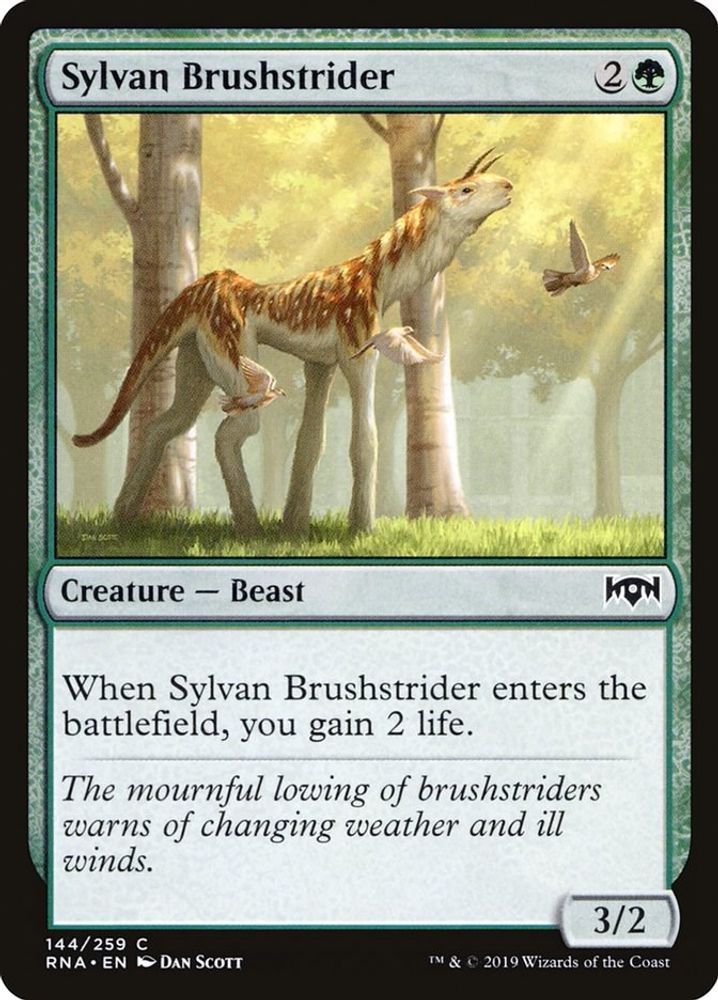 2019 Magic: The Gathering: Ravnica Allegiance (RNA) - Sylvan Brushstrider (#144, Common) (, Near Mint)