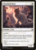 2019 Magic: The Gathering: War of the Spark (WAR) - Charmed Stray (#8, Common) (, Near Mint)