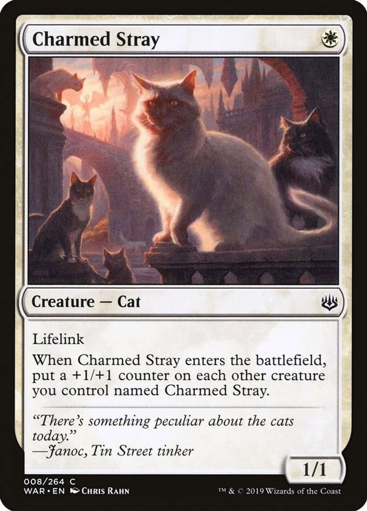 2019 Magic: The Gathering: War of the Spark (WAR) - Charmed Stray (#8, Common) (, Near Mint)
