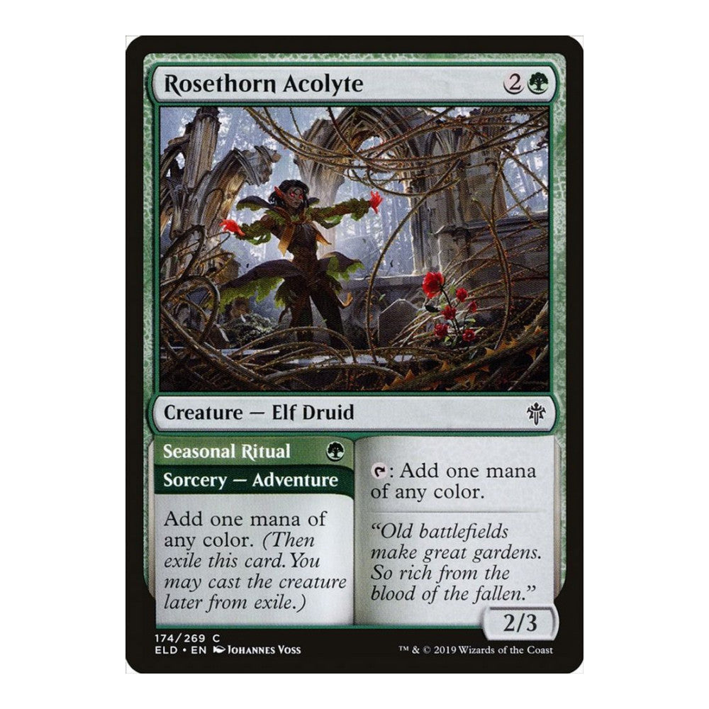 2019 Magic: The Gathering: Throne of Eldraine (ELD) - Rosethorn Acolyte (#174, Common) (, Near Mint)