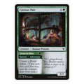 Curious Pair - Throne of Eldraine () - Near Mint -