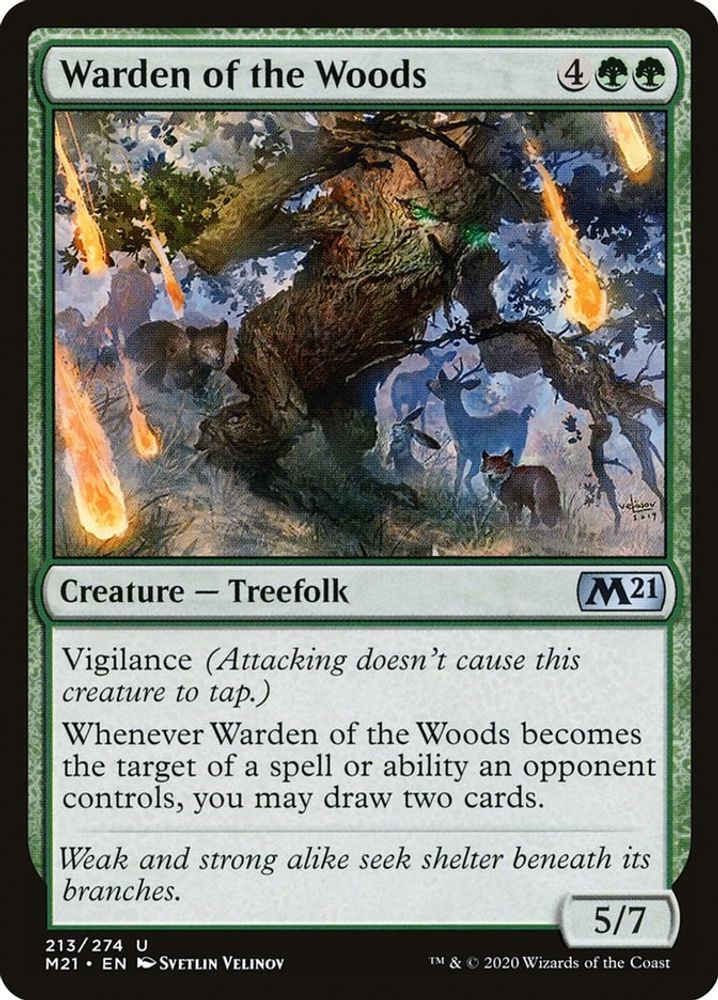 2020 Magic: The Gathering: Core Set 2021 (M21) - Warden of the Woods (#213, Uncommon) (, Near Mint)