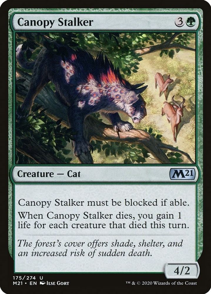 2020 Magic: The Gathering: Core Set 2021 (M21) - Canopy Stalker (#175, Uncommon) (, Near Mint)