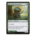 2020 Magic: The Gathering: Zendikar Rising (ZNR) - Tangled Florahedron (#211, Uncommon) (, Near Mint)