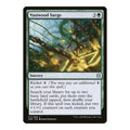 2020 Magic: The Gathering: Zendikar Rising (ZNR) - Vastwood Surge (#217, Uncommon) (, Near Mint)