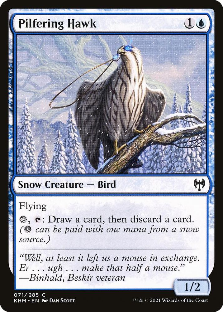 2021 Magic: The Gathering: Kaldheim (KHM) - Pilfering Hawk (#71, Common) (, Near Mint)
