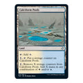 2021 Magic: The Gathering: Time Spiral: Remastered (TSR) - Calciform Pools (#275, Uncommon) (, Near Mint)