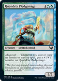 2021 Magic: The Gathering: Strixhaven: School of Mages (STX) - Quandrix Pledgemage (#219, Common) (, Near Mint)