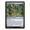 Overgrown Arch - Strixhaven: School of Mages () - Near Mint -