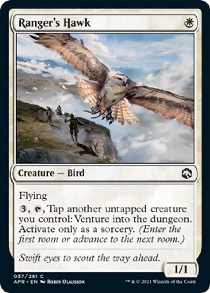 2021 Magic: The Gathering: Adventures in the Forgotten Realms (AFR) - Rangers Hawk (#37, Common) (, Near Mint)