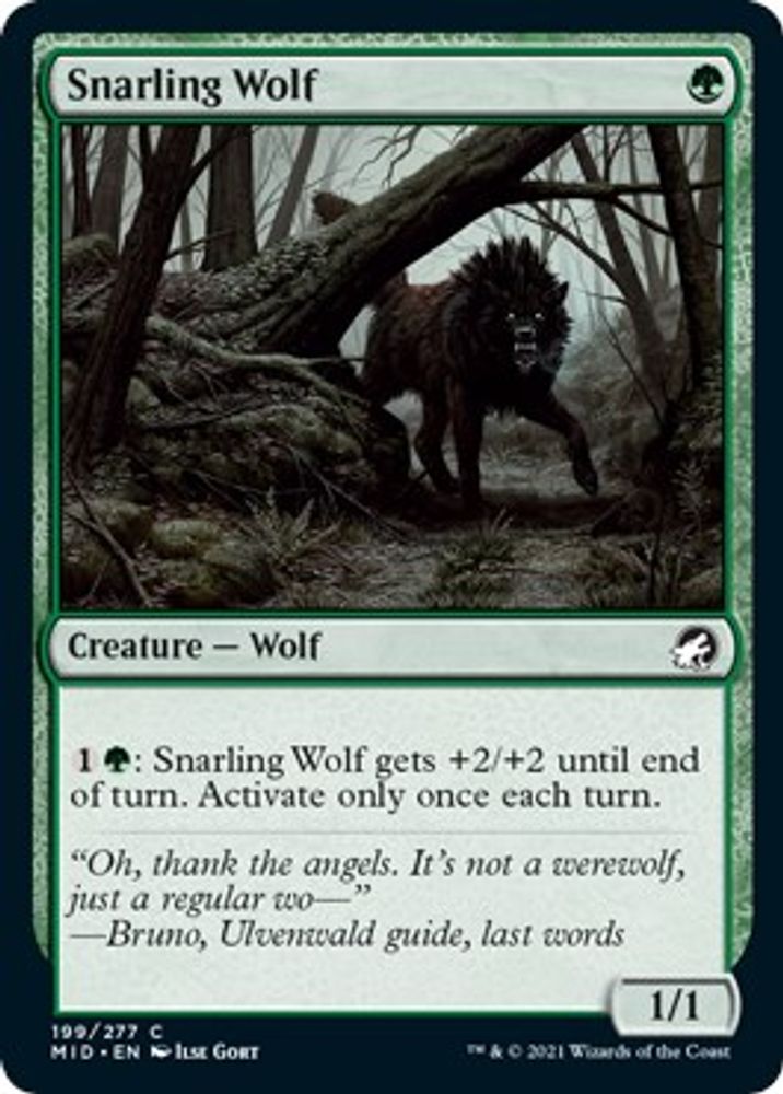 2021 Magic: The Gathering: Innistrad: Midnight Hunt (MID) - Snarling Wolf (#199, Common) (, Near Mint)