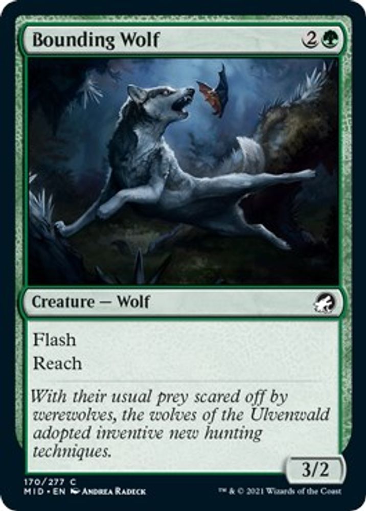 2021 Magic: The Gathering: Innistrad: Midnight Hunt (MID) - Bounding Wolf (#170, Common) (, Near Mint)