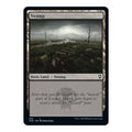 2022 Magic: The Gathering: Commander Legends: Battle for Baldur's Gate (CLB) - Swamp 459 (#459, Land) (, Near Mint)