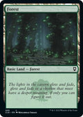 2022 Magic: The Gathering: Commander Legends: Battle for Baldur's Gate (CLB) - Forest 468 (#468, Land) (, Near Mint)