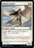 2022 Magic: The Gathering: Dominaria United (DMU) - Shalais Acolyte (#33, Uncommon) (, Near Mint)
