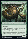 2022 Magic: The Gathering: Dominaria United (DMU) - Mossbeard Ancient (#173, Uncommon) (, Near Mint)