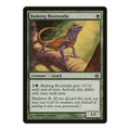 2009 Magic: The Gathering: Duel Decks: Garruk vs. Liliana (DDD) - Basking Rootwalla (#2, Common) (, Near Mint)