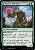 2023 Magic: The Gathering: March of the Machine (MOM) - Timberland Ancient (#210, Common) (, Near Mint)