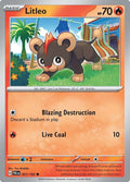 2023 Pokemon: SV02: Paldea Evolved (PAL) - Litleo (#031/193, Common) (Reverse Holofoil, Near Mint)