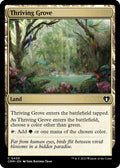 2023 Magic: The Gathering: Commander Masters (CMM) - Thriving Grove (#430, Common) (, Near Mint)