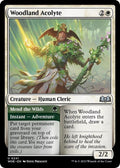 2023 Magic: The Gathering: Wilds of Eldraine (WOE) - Woodland Acolyte (#241, Uncommon) (, Near Mint)