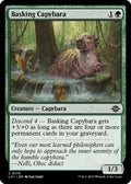 2023 Magic: The Gathering: The Lost Caverns of Ixalan (LCI) - Basking Capybara (#175, Common) (, Near Mint)