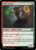 2024 Magic: The Gathering: Ravnica Remastered (RVR) - Wild Cantor (#239, Common) (, Near Mint)