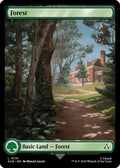 2024 Magic: The Gathering: Universes Beyond: Assassin's Creed (ACR) - Forest 0110 (#110, Land) (, Near Mint)