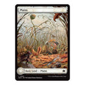 2024 Magic: The Gathering: Bloomburrow (BLB) - Plains 0264 (#264, Land) (, Near Mint)