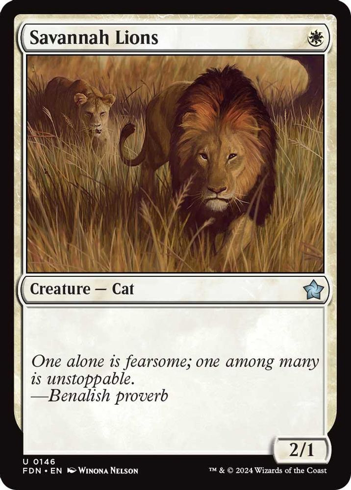 2024 Magic: The Gathering: Foundations (FDN) - Savannah Lions (#146, Uncommon) (, Near Mint)