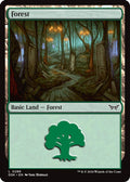 2024 Magic: The Gathering: Duskmourn: House of Horror (DSK) - Forest 0286 (#286, Land) (, Near Mint)