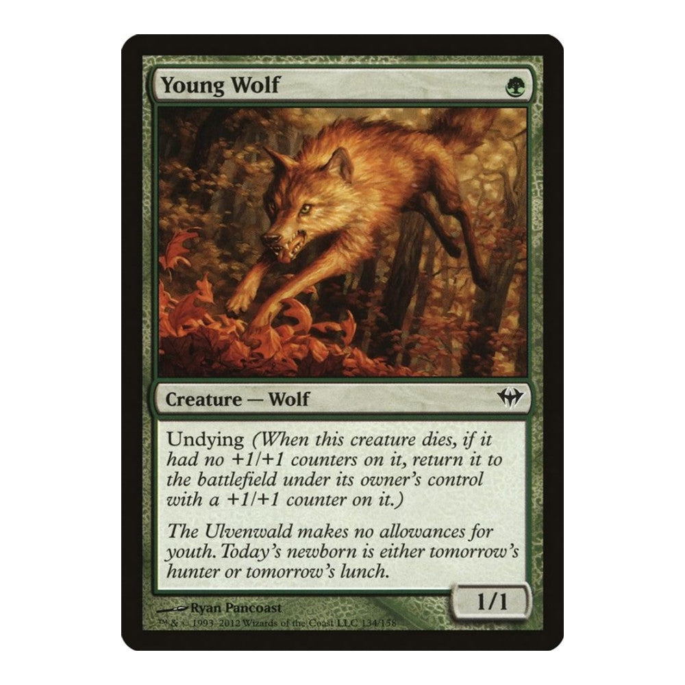 Young Wolf - Dark Ascension () - Near Mint -