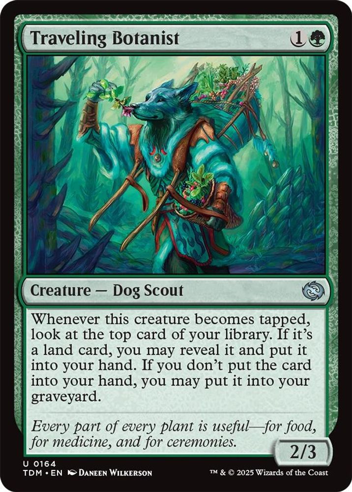 2025 Magic: The Gathering: Tarkir: Dragonstorm (TDM) - Traveling Botanist (#164, Uncommon)