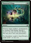 2025 Magic: The Gathering: Edge of Eternities (EOE) - Shattered Wings (#206, Common) (, Near Mint)