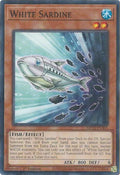2025 YuGiOh: 2025 Mega-Pack (MP25) - White Sardine (#MP25-EN305, Common) (1st Edition, Near Mint)
