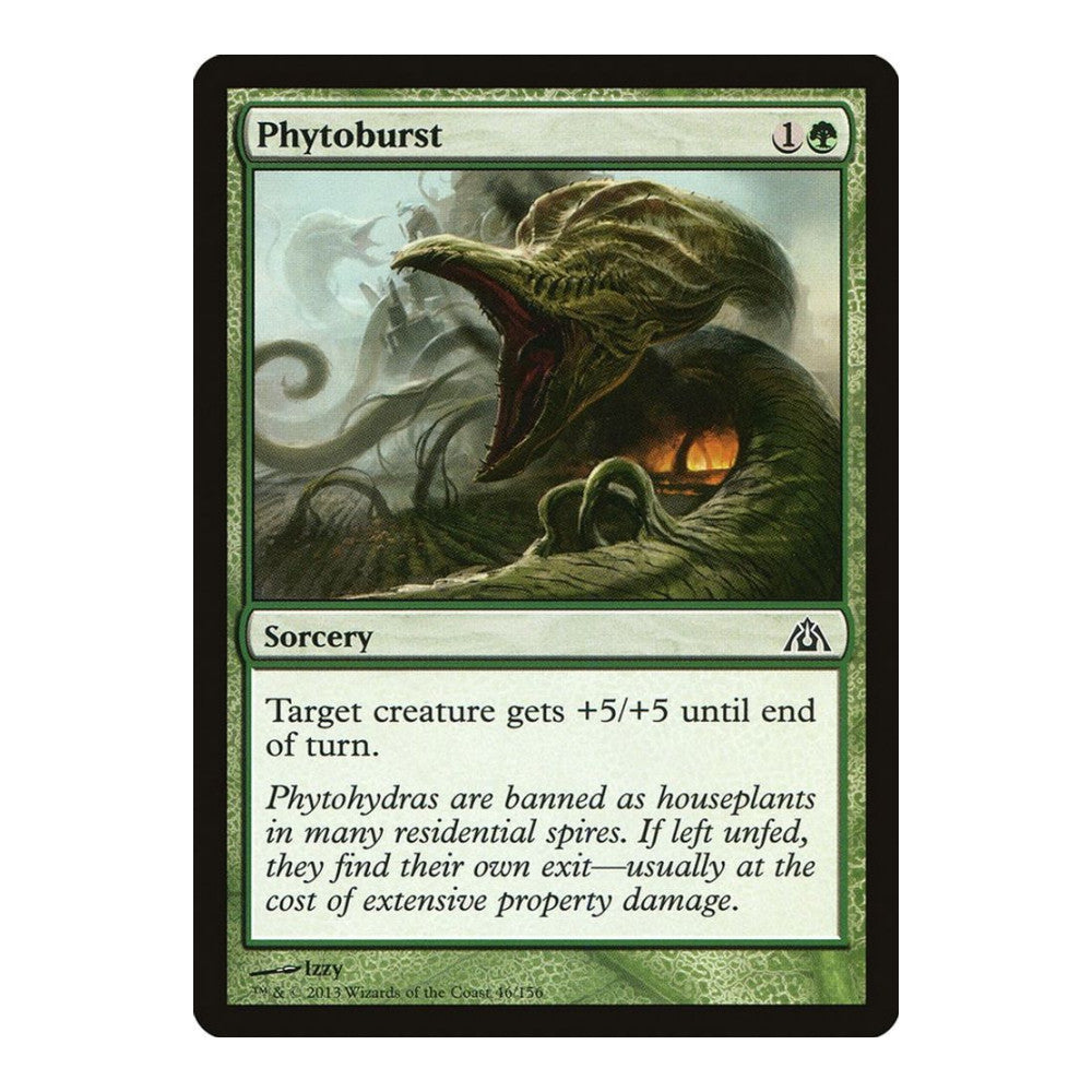 Phytoburst - Dragon's Maze () - Near Mint -