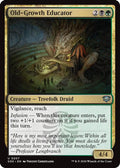 2026 Magic: The Gathering: Secrets of Strixhaven (SOS) - Old Growth Educator (#207, Uncommon) (, Near Mint)