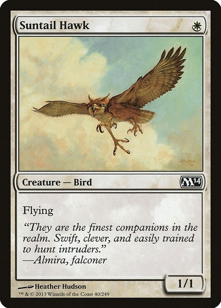 2013 Magic: The Gathering: Magic 2014 (M14) (M14) - Suntail Hawk (#40, Common) (, Near Mint)