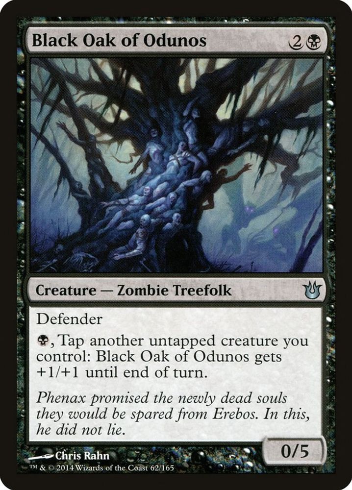 2014 Magic: The Gathering: Born of the Gods (BNG) - Black Oak of Odunos (#62, Uncommon) (, Near Mint)