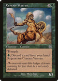 2002 Magic: The Gathering: Torment (TOR) - Centaur Veteran (#123, Common) (, Near Mint)